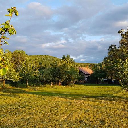 Tepke Guesthouse Garab Экстерьер фото